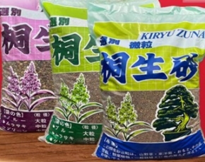 桐生砂